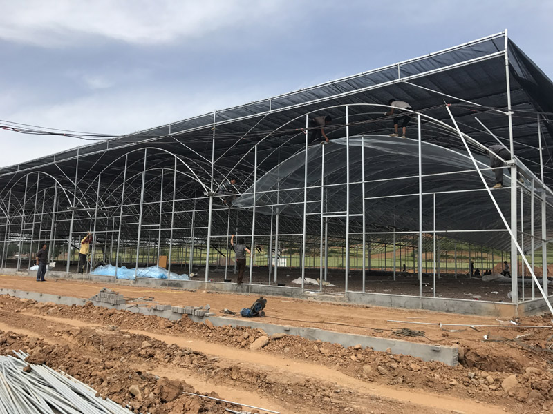 薄膜連棟智能溫室骨架